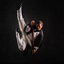Image result for IXL Martial Arts