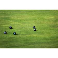Image result for Hook Bowling Club