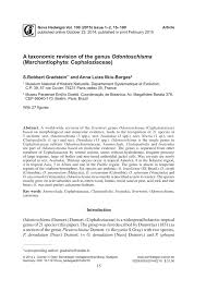 Attēlu rezultāti vaicājumam “Odontoschisma denudatum cells”