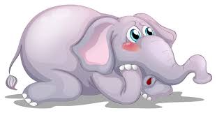 Image result for sad elephant