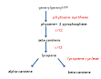 Carotenoid - Wikipedia, the free encyclopedia