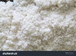 Attēlu rezultāti vaicājumam “Brefeldia maxima”