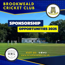 Image result for Loughton Cricket Club