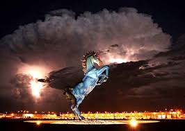 Image result for denver airport