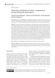 Attēlu rezultāti vaicājumam “Populus x lettland”