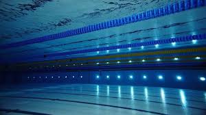 Image result for Ashington Swimming Club