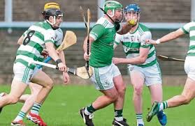 Image result for Rostrevor Hurling Club
