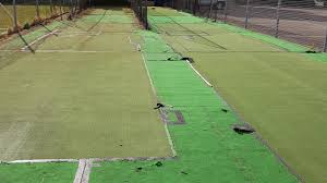 Image result for Bere Regis Cricket Club