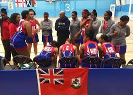 Image result for Erewash pixies netball club