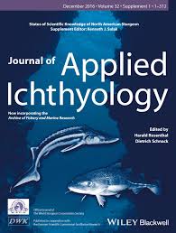 Image result for Huso brevirostrum