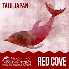 Image result for japan dolphin slaughter