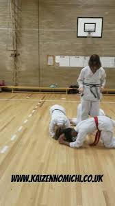 Image result for Kaizen No-Michi, Cleethorpes Karate Dojo