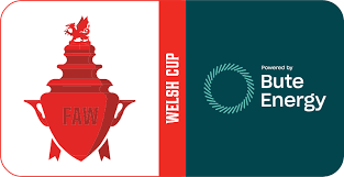 Image result for Penclawdd A F C