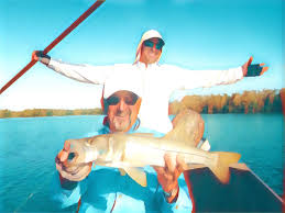 Image result for Kirkham and District Fly Fishers` Club