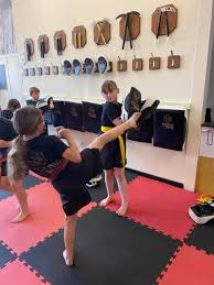 Image result for Phoenix Martial Arts