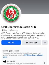 Image result for Caerbryn Association Football Club
