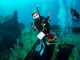 Image result for Great Western Divers