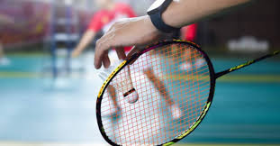 Image result for Delco Electronics Senior Badminton Club