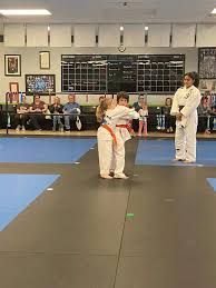 Image result for IXL Martial Arts