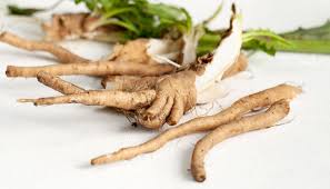 Image result for Zichorie