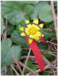 Attēlu rezultāti vaicājumam “Ficaria verna flower”