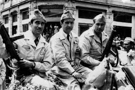 Image result for catalans universals