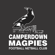 Image result for Ledbury Magpies Netball Club