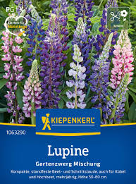 Image result for Lupinen