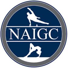 Image result for Biddick Sports College Community Gymnastics Club