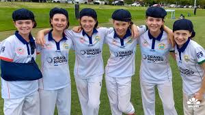 Image result for Louth Cricket Club