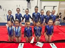 Image result for Bagshot Gymnastics Club