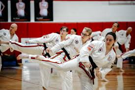 Image result for Newbury TAGB Tae Kwon-Do (Juniors)