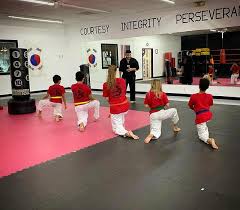 Image result for Dragon Martial Arts Association