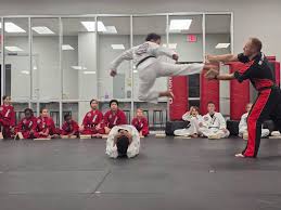 Image result for Impact Martial Arts