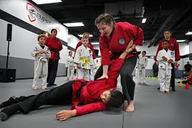 Image result for Imperial Dojo