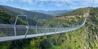 Image result for PONT DE SINGE
