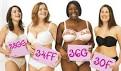 Are you wearing the correct bra size? | sophiajenner