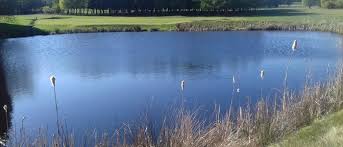 Image result for Accrington & District Golf Club