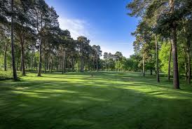 Image result for Hoebridge Junior Badminton Club