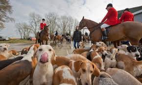 Image result for Hunters Badminton Club