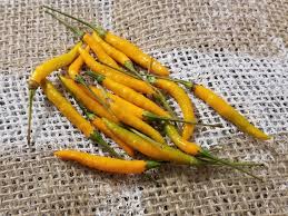 Afbeeldingsresultaat voor thai yellow hot pepper