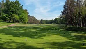 Image result for Brokenhurst Manor Golf Club
