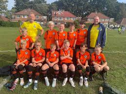 Image result for Haxby Netball Club