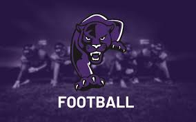 Image result for Pentland Panthers