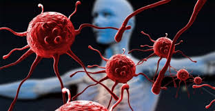 Image result for фотография вируса вич