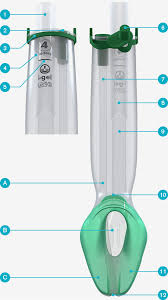 Image result for Igel