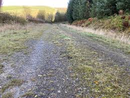 Attēlu rezultāti vaicājumam “Scapania irrigua”