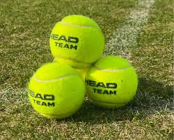 Image result for Thames Ditton Lawn Tennis Club