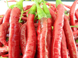 Afbeeldingsresultaat voor joe long cayenne hot pepper