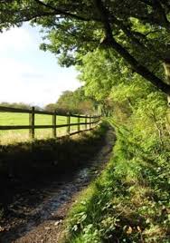 Image result for Tameside Area